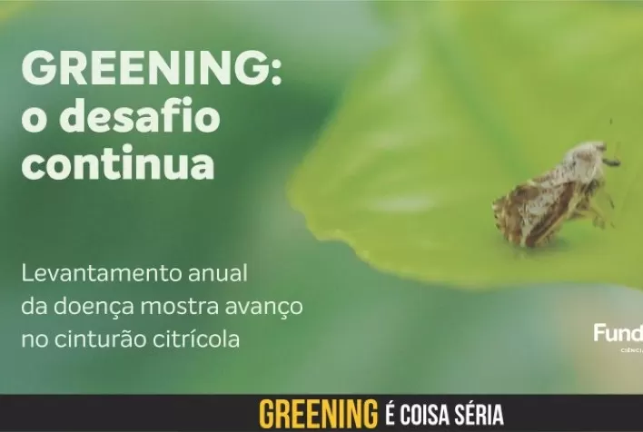 Levantamento de greening mostra avanço da doença no cinturão citrícola