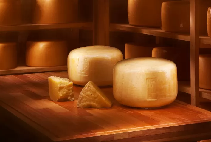 Scala conquista a recomendação de certificação do FSSC 22.000-Q, certificado de referência global no setor de alimentos