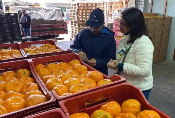Força-tarefa fiscaliza rastreabilidade e resíduos de agrotóxicos na Ceagesp