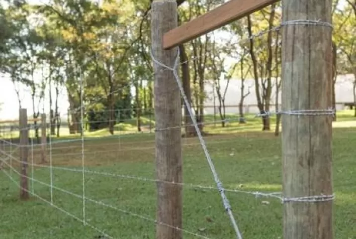 A importância da seleção e utilização correta das cercas para fazendas