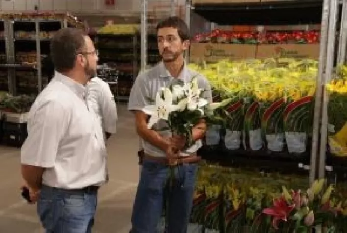 Evento permite compras antecipadas de flores e plantas para o último trimestre