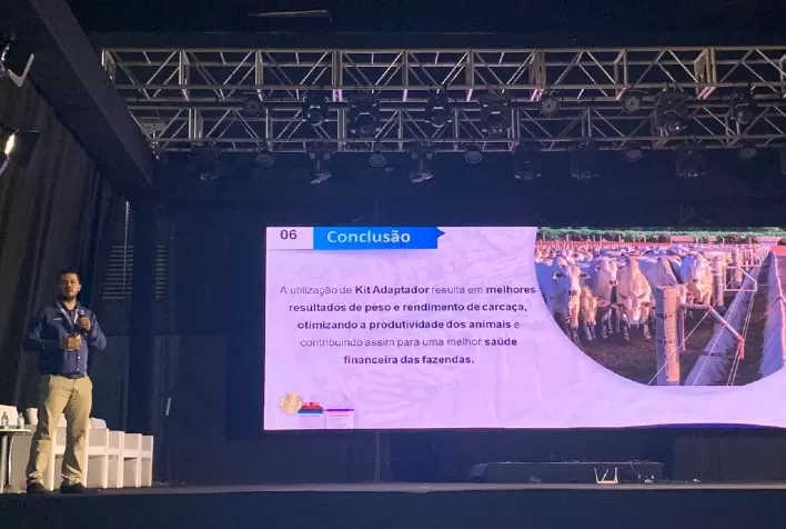 Suplementação injetável em bovinos aumenta em mais de 12 kg de rendimento de carcaça