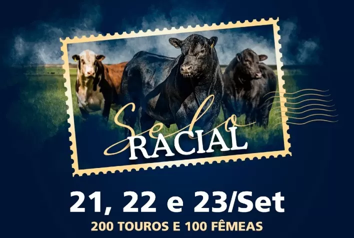 Leilão Selo Racial terá oferta de 120 exemplares Angus e 12 Ultrablack