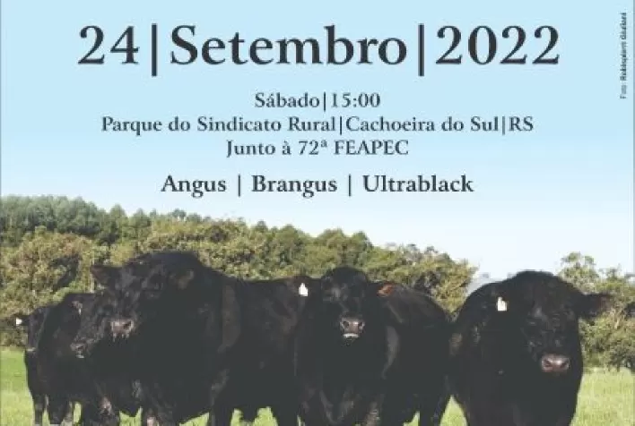 18º Remate de Reprodutores colocará em pista 32 touros Angus e trio de fêmeas Ultrablack