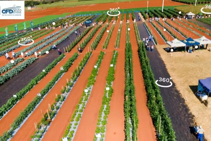 Experiência em realidade virtual mostra aos produtores novidades para a horticultura