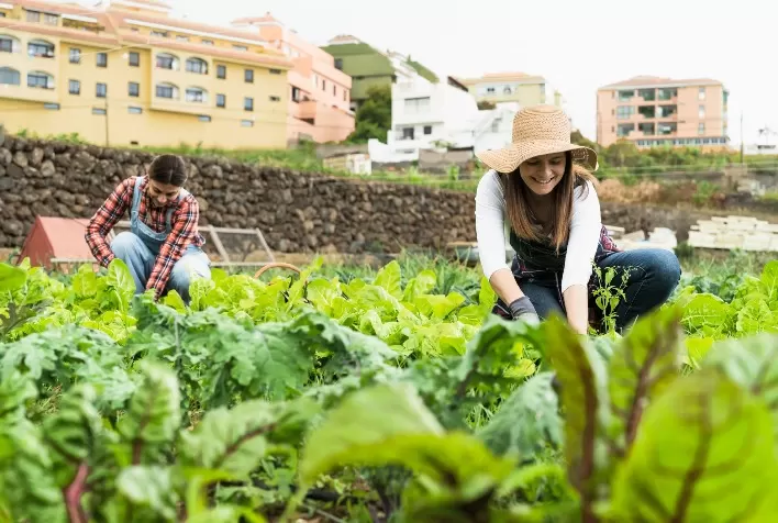 Presença feminina rompe preconceitos e ganha força no agronegócio