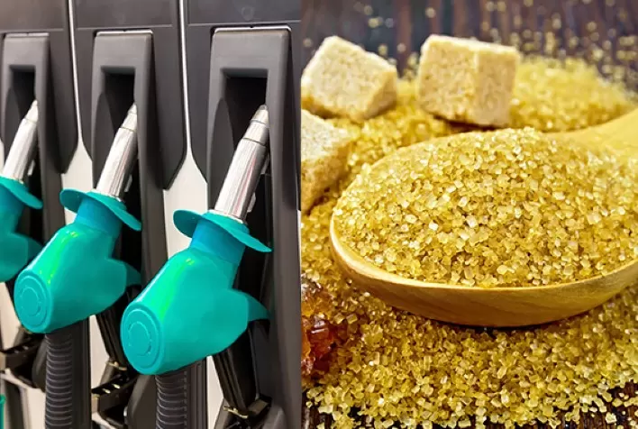Aperto na oferta faz preços do açúcar bruto fecharem em alta; Etanol cai pelo 2º dia seguido