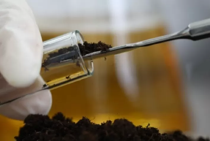 Bioinsumos: importante recurso para impulsionar a sustentabilidade sem perdas de produtividade