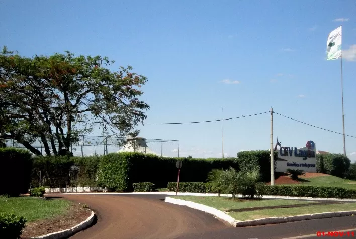 Grupo CRV aumenta market share no mercado brasileiro de genética bovina