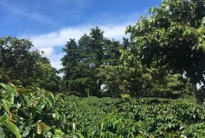 IllyCaffè anuncia os finalistas do prêmio Ernesto Illy Internacional 2022