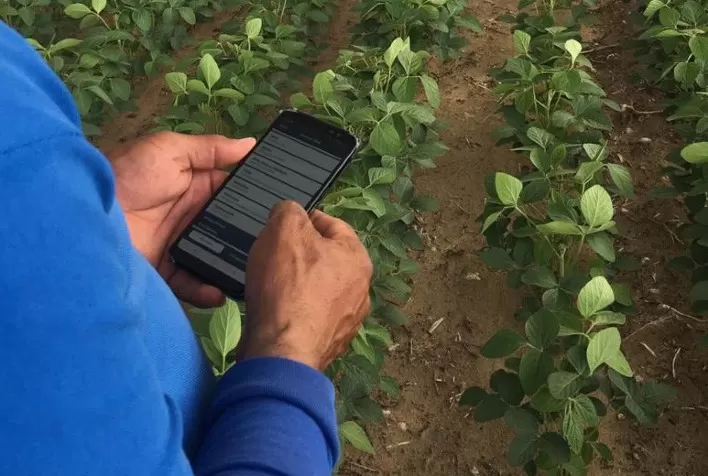 Para o início do plantio da soja, produtores devem fazer o planejamento e a gestão da atividade para garantir uma safra produtiva
