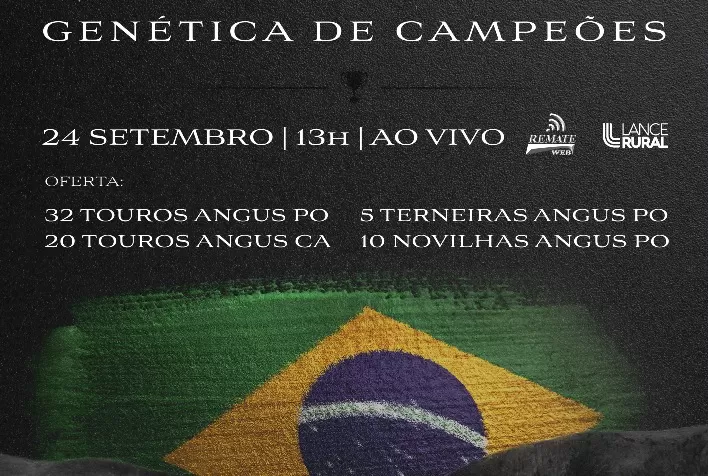 Leilão Reconquista ofertará touros vencedores do CAR e da Expoutono 2022