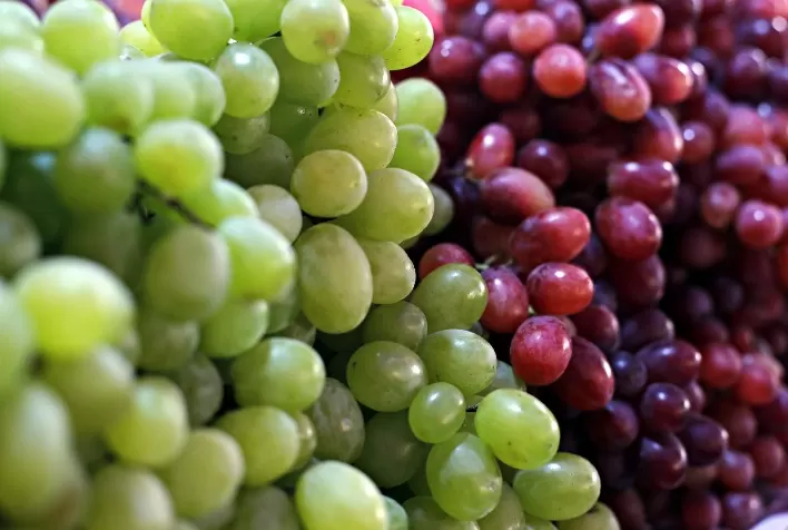 Brasil recebe primeira carga de uvas egípcias