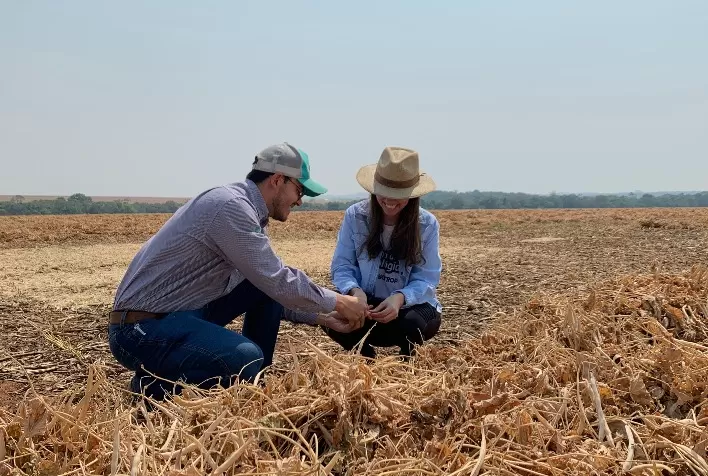 Do plantio à colheita, suporte técnico no campo contribui para o crescimento do mercado de biológicos