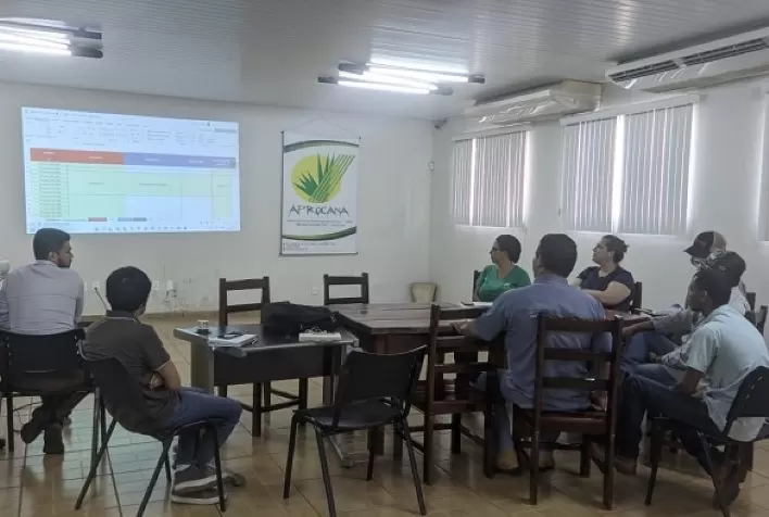 CNA levanta custos de produção de cana-de-açúcar em Goiás