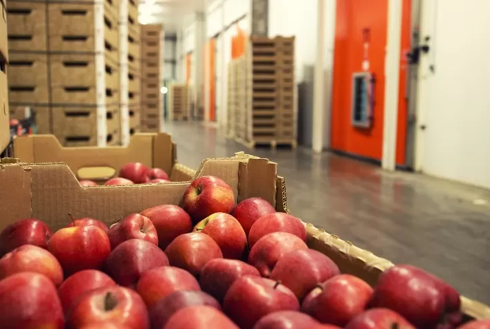 Exportação de maçã fresca cai 26,3% na China