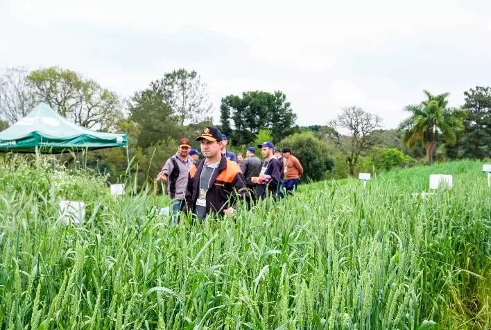 Dia de Campo com foco para pecuária de leite é sucesso em Videira