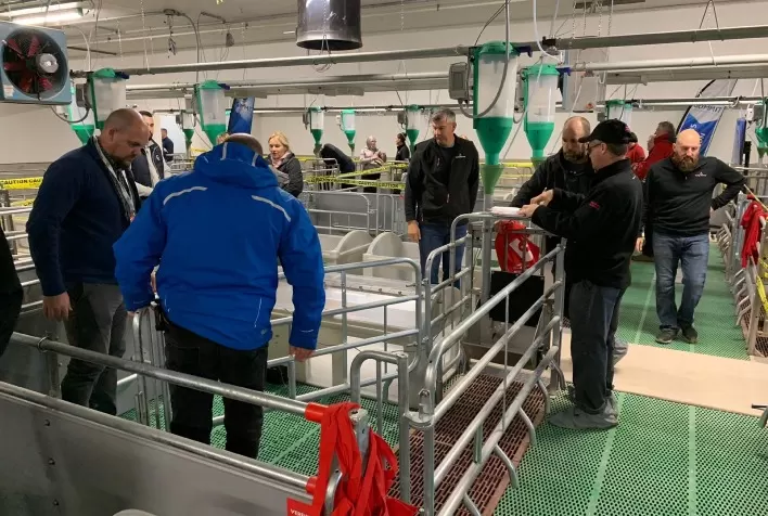 Topigs Norsvin inaugura nova granja núcleo Innova Canadá