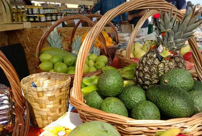 Do solo ao prato: Trela gera consciência alimentar com venda de orgânicos diretamente dos produtores