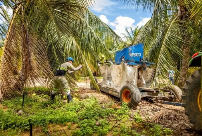 PepsiCo inicia cultivo de cacau em consórcio com coco-verde na sua fazenda de KERO COCO® em Petrolina (PE)