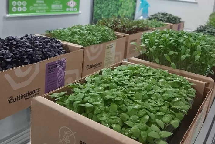 Com microverdes e alfaces de alto desempenho, ISLA marca presença em evento Latino-Americano de Hidroponia