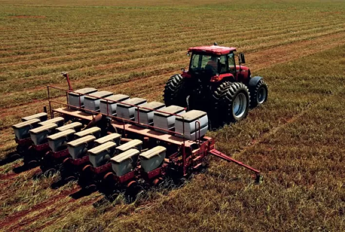 Plantio da safra brasileira de soja em 2022/23 atinge 2% – SAFRAS
