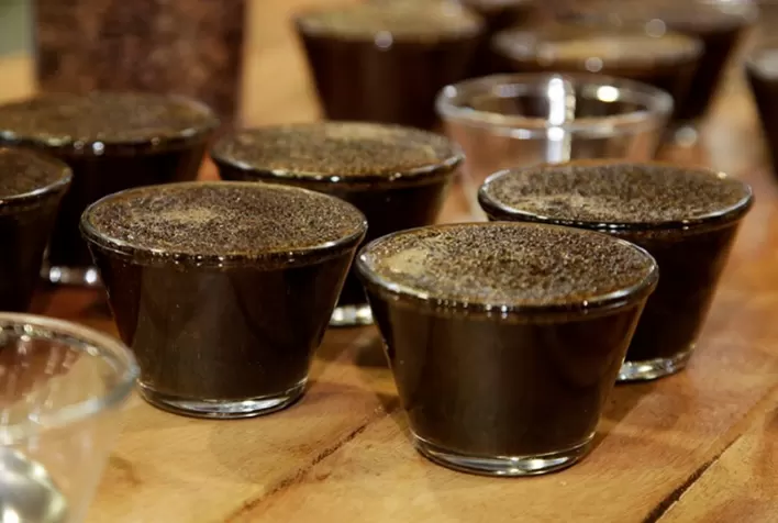 Laboratório vai atestar qualidade dos cafés produzidos na região de Chapada de Minas