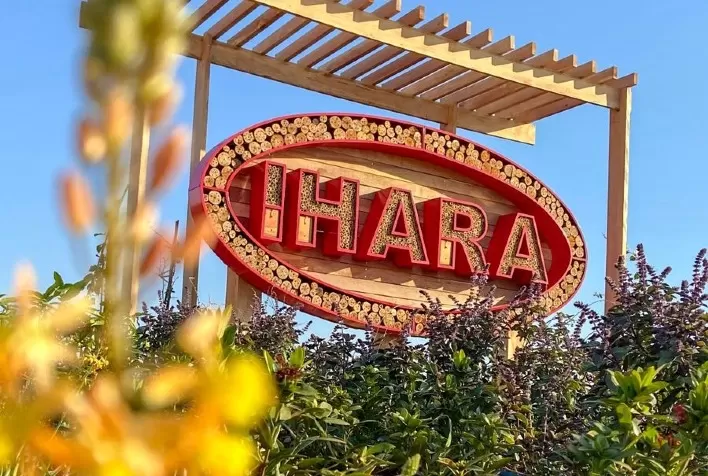 IHARA investe na proteção e valorização dos polinizadores