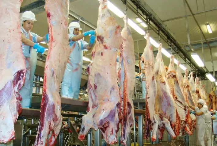 Mato Grosso abate 1,1 milhão de bovinos no segundo trimestre – Imea