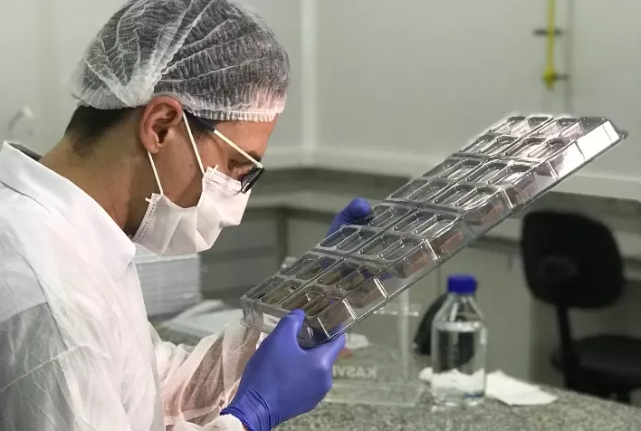 Inoculantes biológicos ganham campo nas lavouras brasileiras