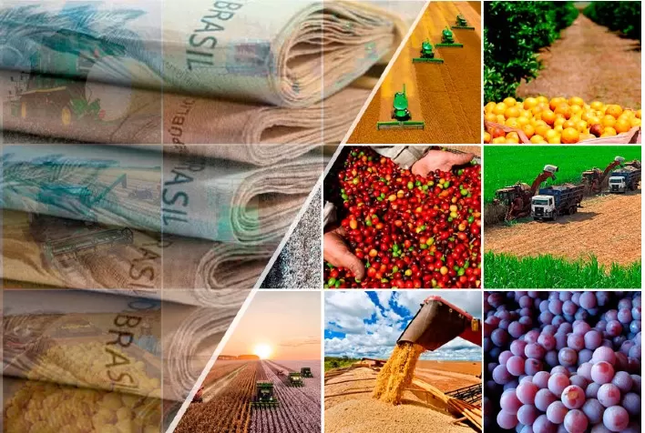 O agro precisa de crédito e o setor de consórcio pode ajudar