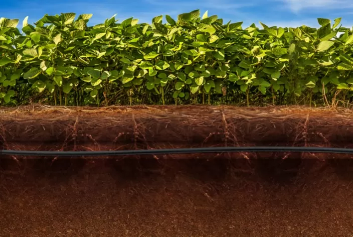 BASF anuncia parceria inovadora com NaanDanJain para promover manejo sustentável na agricultura brasileira