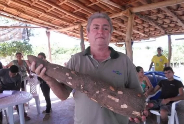 Curso ensina boas práticas de fabricação de farinha a produtores do Maracanã
