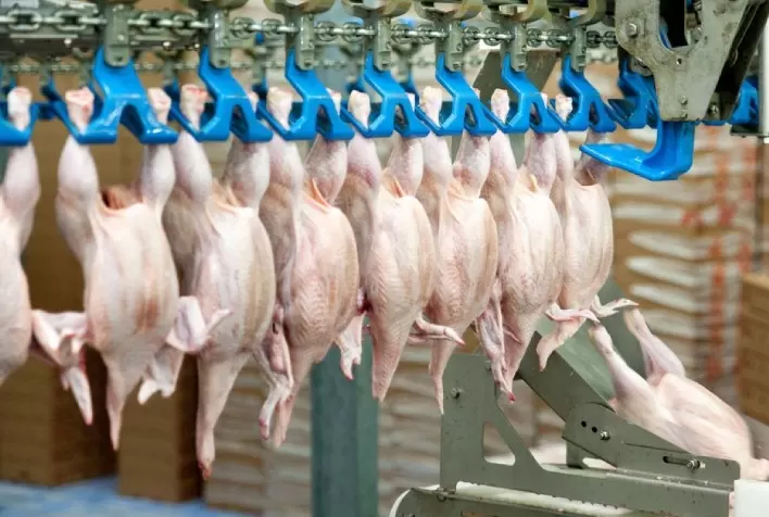 Desempenho do frango (vivo e abatido) na 39ª semana de 2022, passagem de setembro para outubro