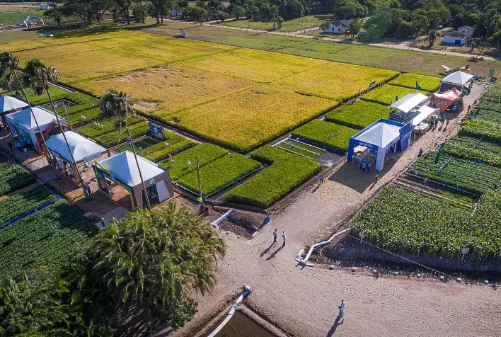 Federarroz: Expofeira de Pelotas recebe lançamento regional da Abertura da Colheita do Arroz