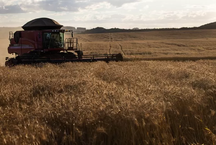 Colheita de trigo no Paraná chega a 42% da área, diz Deral