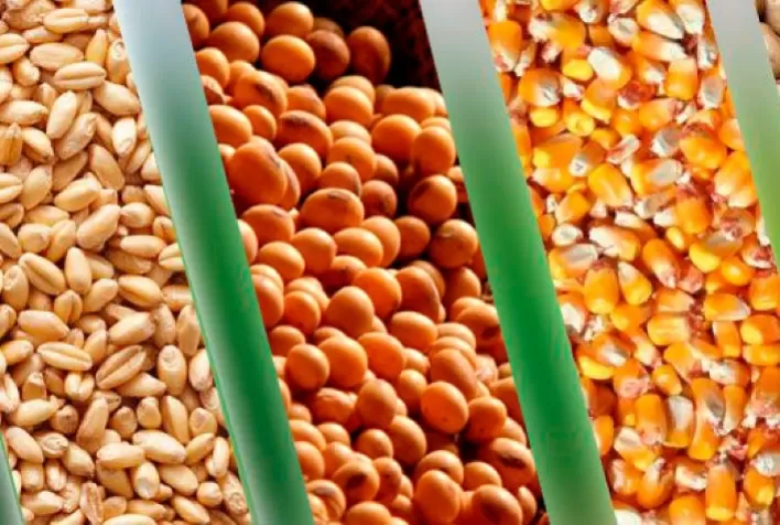 Mercado de commodities enfrenta seca global; confira análise da hEDGEpoint Global Markets