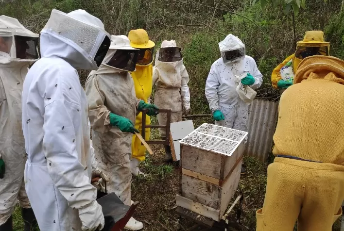 Apicultores participam de treinamento sobre produtividade do mel no extremo oeste