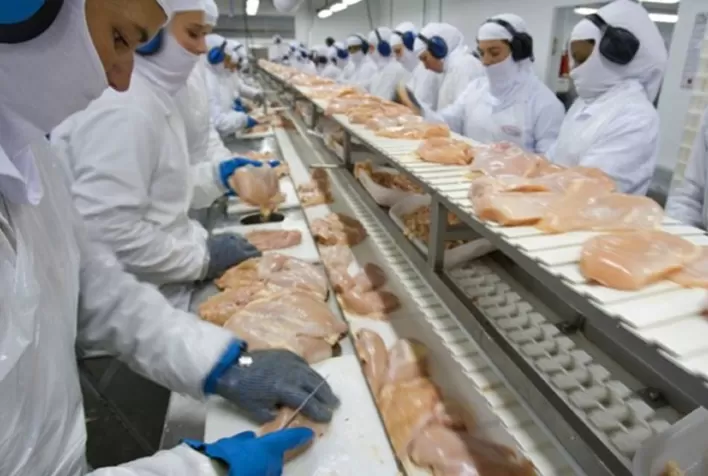 Carne de frango: dados apontam redução da oferta interna no primeiro semestre de 2022