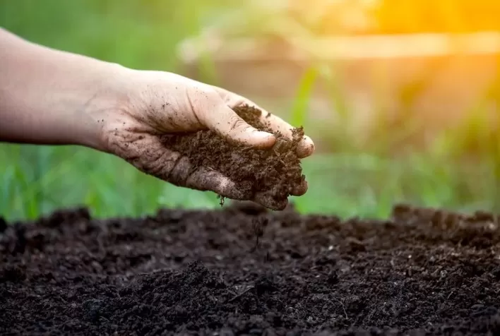 Rotação de culturas combina produtividade com a conservação do solo, contribuindo para a superação dos efeitos trazidos pelas mudanças climáticas