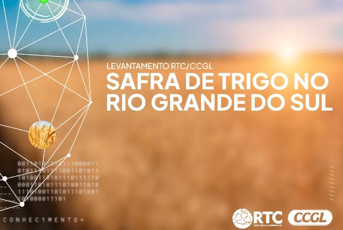 RTC/CCGL e cooperativas atualizam projeção para a safra de trigo no RS