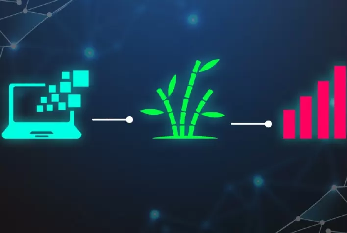 Cana-de-açúcar: Tecnologia e sustentabilidade beneficiam cidadãos e meio ambiente