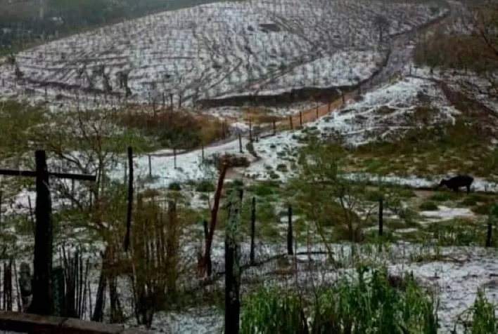 Mais de 16 mil hectares foram atingidos pelas chuvas de granizo em Minas Gerais