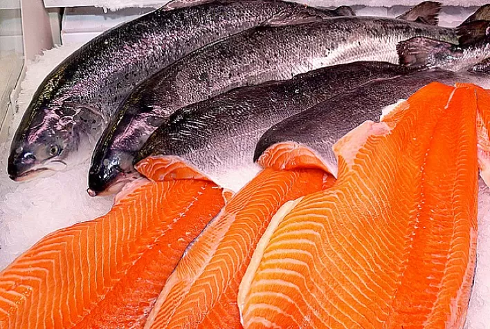 Exportação de salmão e truta chilenos ao Brasil cresce quase 30% no primeiro semestre