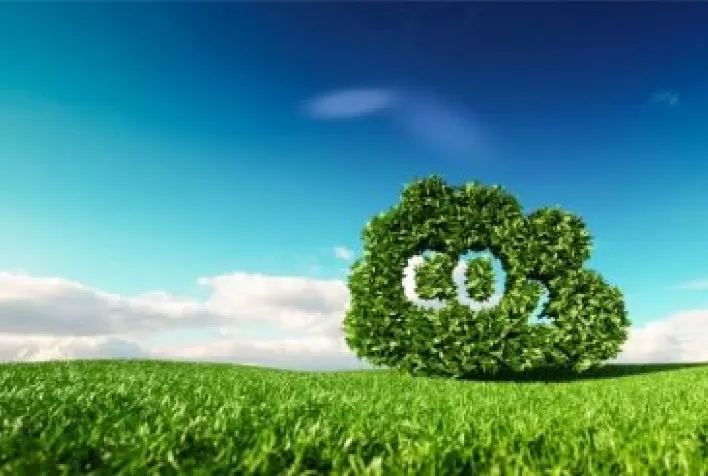 MyCarbon, subsidiária da Minerva Foods, neutraliza 843 t CO2 e emitidos durante a Festa do Peão de Barretos 2022