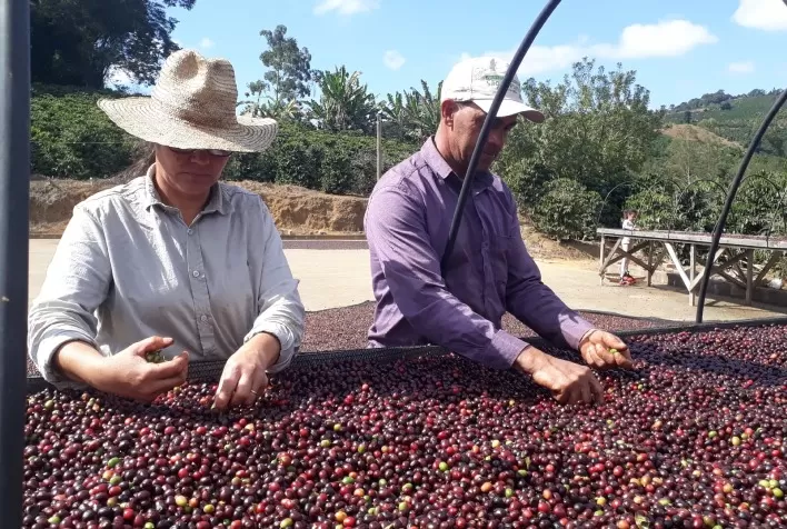 Família unida e mais lucro com café tipo exportação
