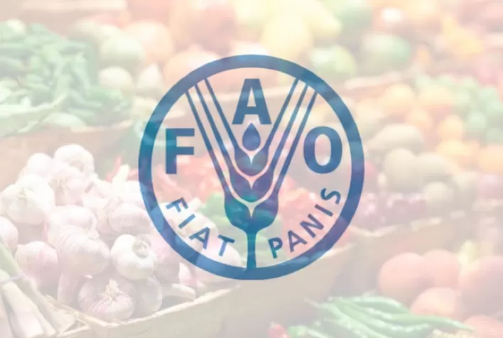 Índice FAO de preço dos alimentos retrocede a valores intermediários entre janeiro e fevereiro