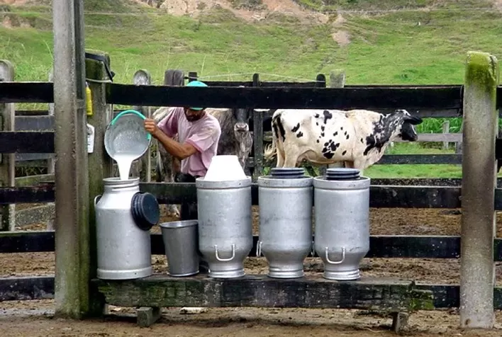 Custo de produção cai em setembro