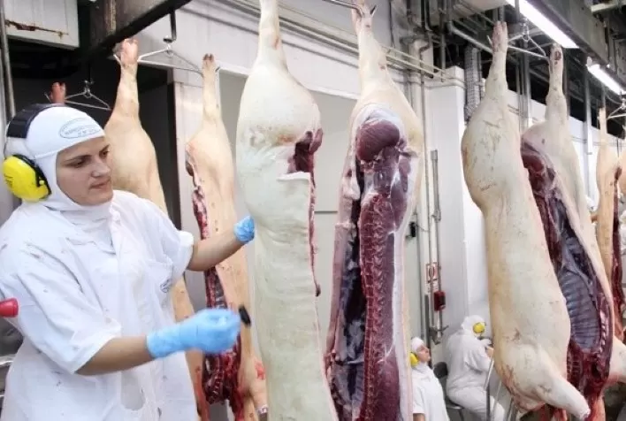 Exportação de carne suína atingiu 101 mil toneladas em setembro