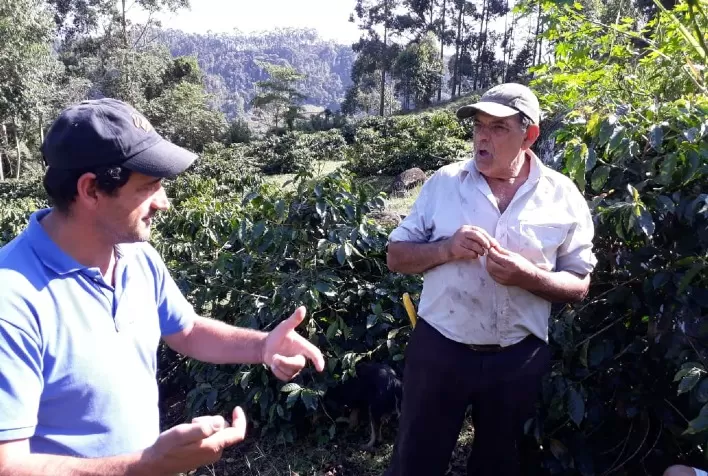 Etapa nacional: produtores do ATeG Café+Forte entre os 150 melhores do Cup of Excellence 2022